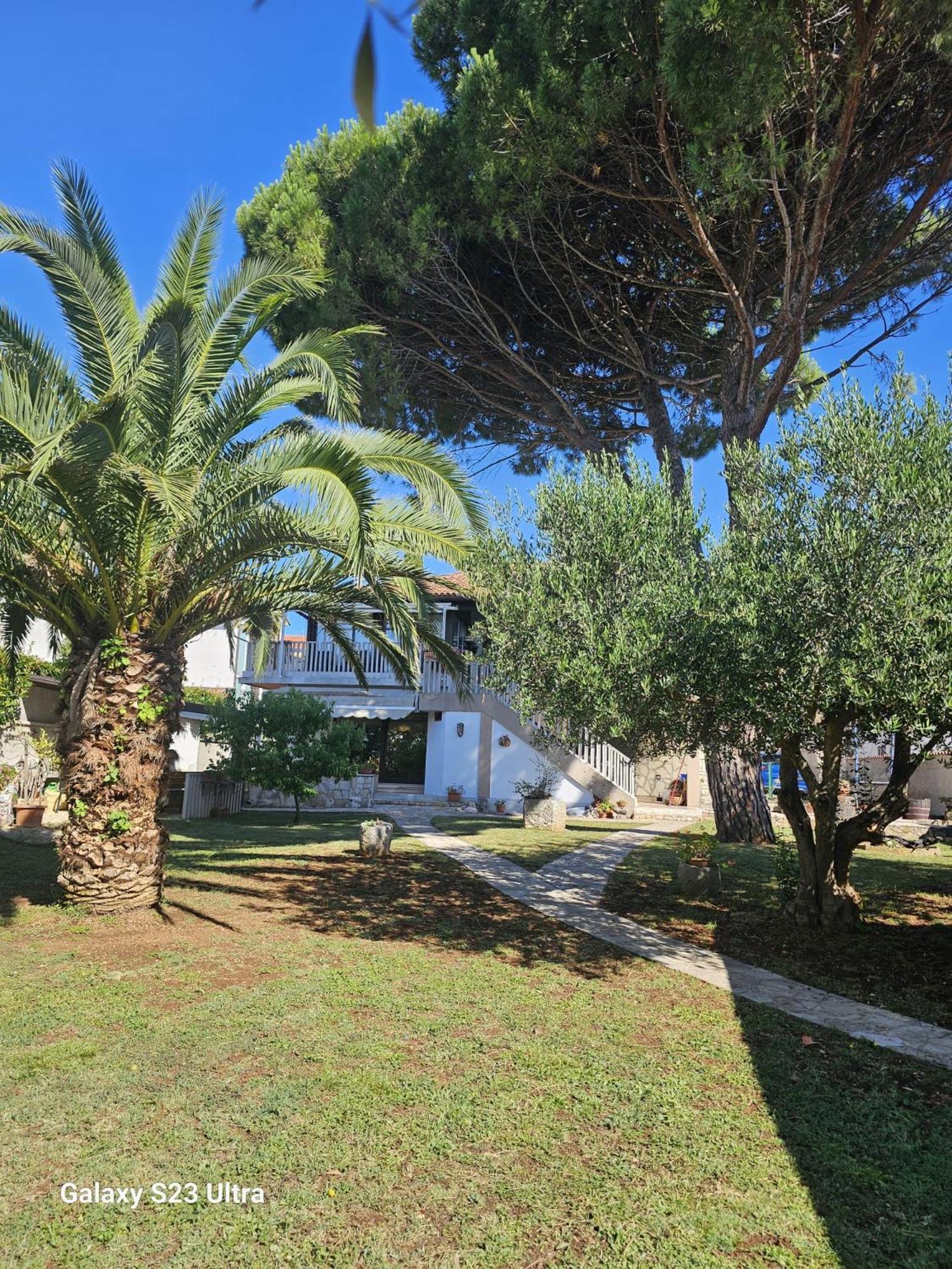 Apartment Riva Garden Relax Novigrad (Istria)